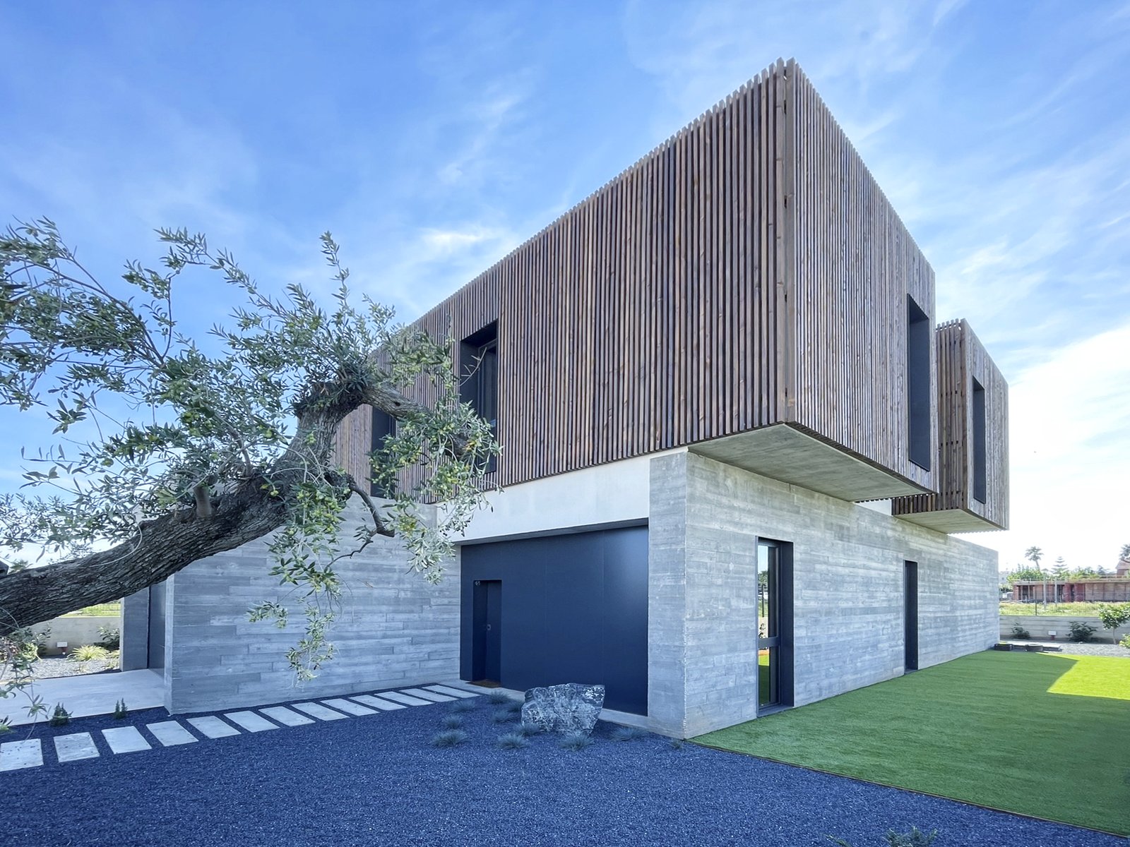 Casa # — volumen de listones de madera sobre base de hormigón, junto a un olivo